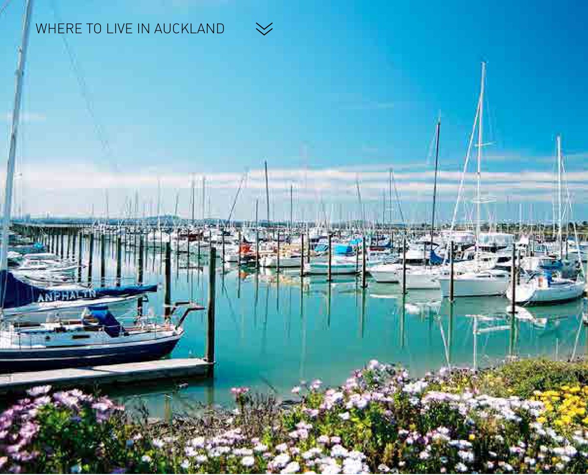 原刊配图 · 第 28 页