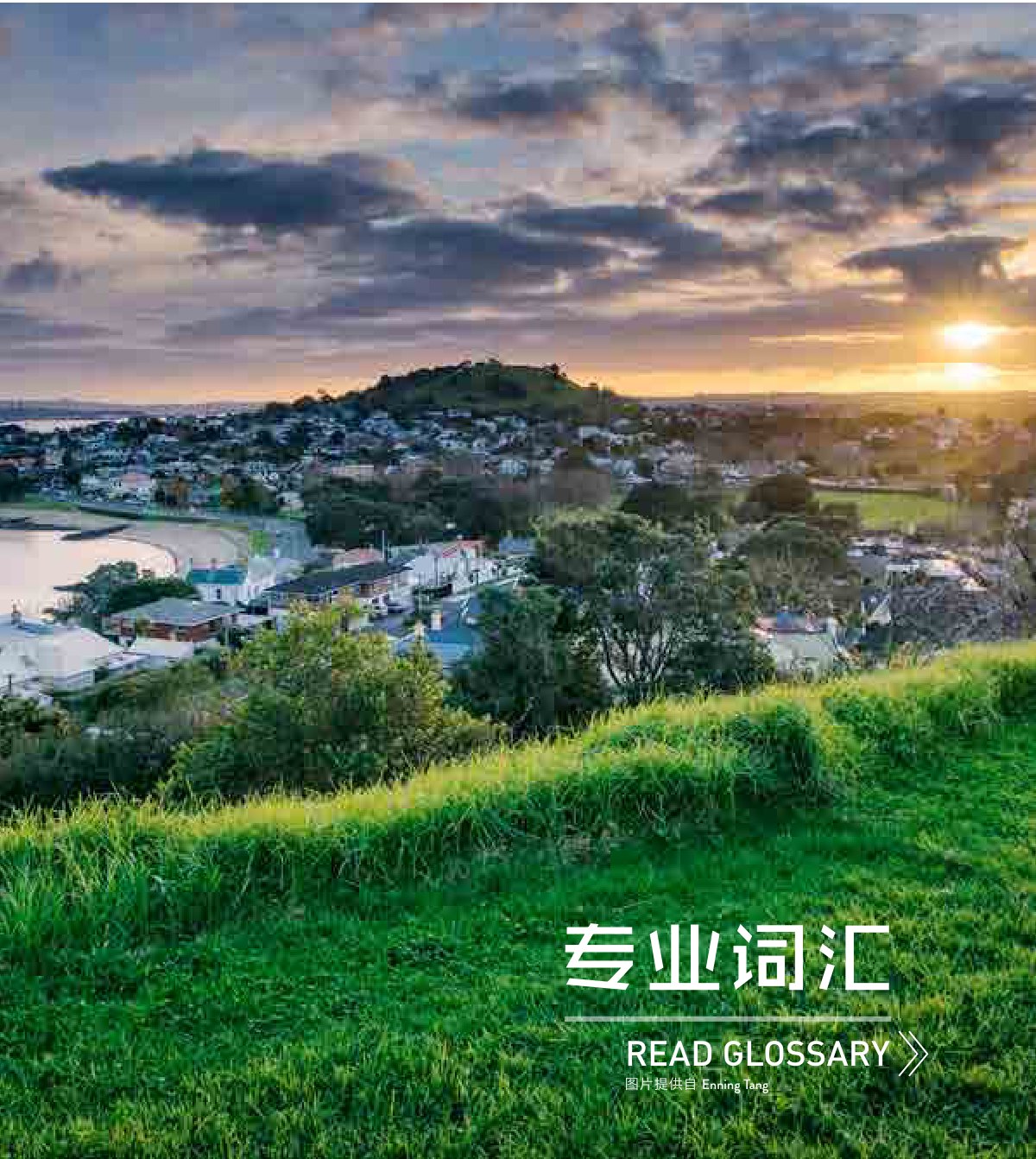 原刊配图 · 第 98 页